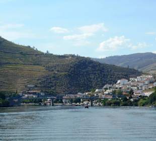 Pinhão