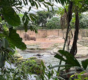 Wildlands Zoo in Emmen 