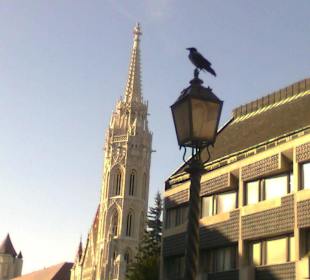 Mátyás-Kirche mit echtem Corvinus-Raben
