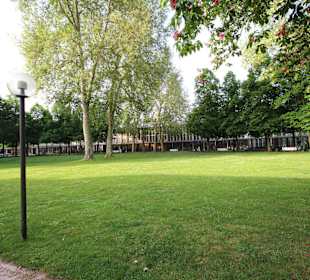 Licht und Schatten im Kurpark