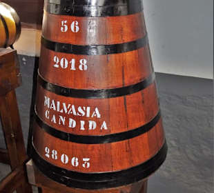 Madeira-Fässer in der Blandy's Wein Lodge