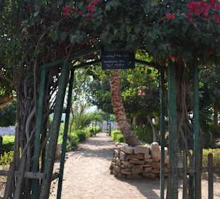 Eingang zum Museumsgarten