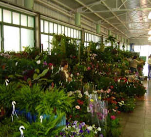 Blumenmarkt