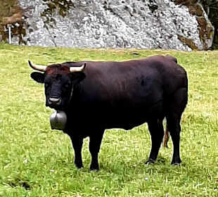 Wandern Saas Fee