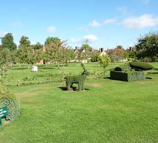 Gartenanlage