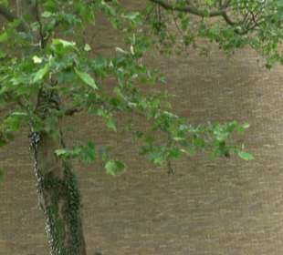 Katholische Kirche Zum Heiligen Geist