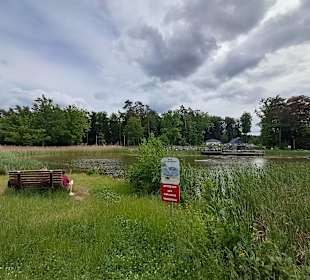 Seewoog in Ramstein-Miesenbach