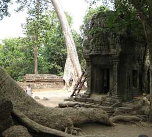 Ta Prohm
