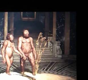 Naturhistorisches Museum