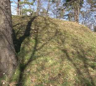 Weinbergturm