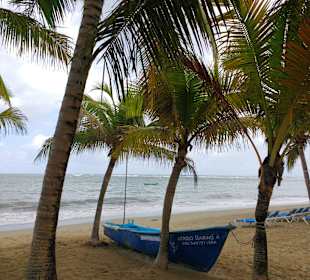 Playa Cabarete	