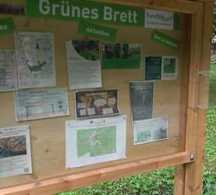 Altwege Rundwanderung Bebenhausen