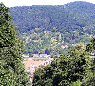 Bergbahnstation Molkenkur Ausblick