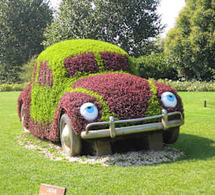 Bepflanztes Auto im Eingangsbereich