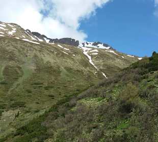 Die Umgebung bei der Wanderung
