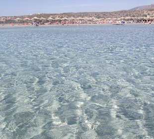 Glasklares Wasser, Strand Elafonisi 