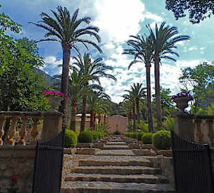 Jardines de Alfabia 