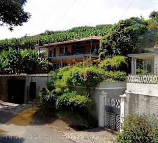 #1365 Yellow Bus hellblau Madeira-Camara de Lobos.