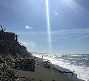 Strand Marina di Cecina