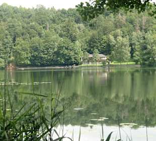 Blick auf den See
