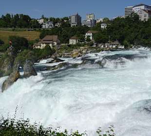 Am Rheinfall