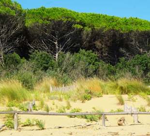 Tolle Naturlandschaft
