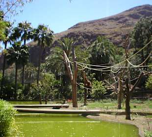 Palmitos Park