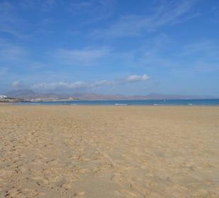 Strand in Nähe des Hotels PrimaSol Golden Beach