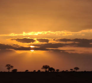 Tsavo Ost und West Safari