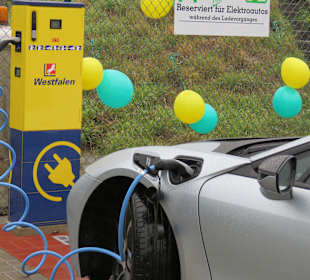 Wandern Hollern-Twielenfleth