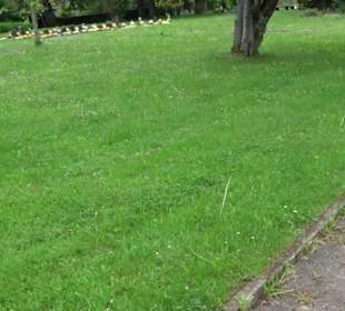 Friedhof Wittlensweiler