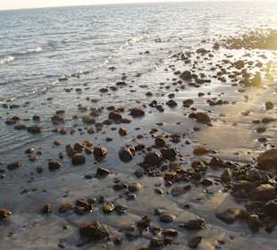 Sonneuntergang am Faro