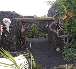 Blick von Manriques Eingangstüre in den Garten