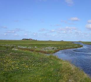 Weideland, Wasser und Warften