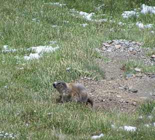 Grossglockner Hochalpenstrasse