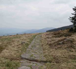 Berg Schneekoppe/Śnieżka