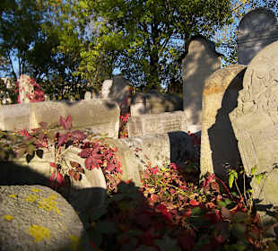 Cmentarz Żydowski