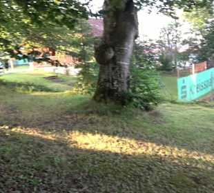 Tennisplätze Böhringen