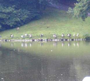 Stadtpark Bochum