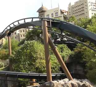 Deep in Africa - Black Mamba