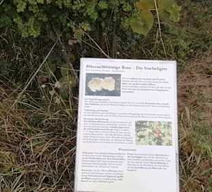 Schaugarten Eninger Weide