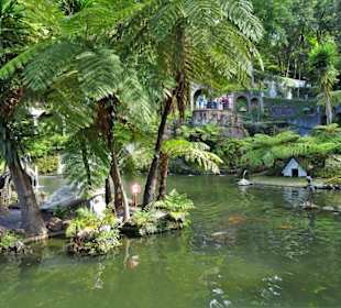 Rundgang durch den Monte Palace Tropical Garden