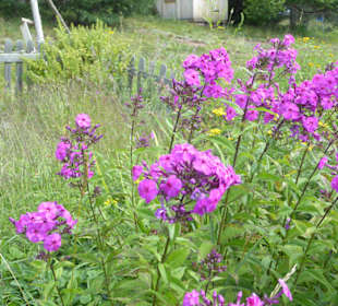 Wandern Oberbozen nach Maria Saal
