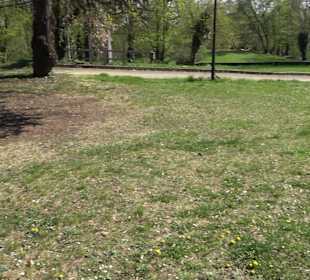 Parkanlage Villa Berg