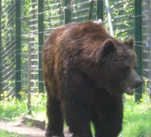 Naturpark Bären
