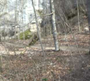 Fürstlicher Park Inzigkofen
