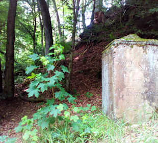 Pfälzer Waldpfad in Kaiserslautern
