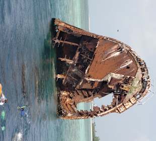 Schnorcheln am Wrack