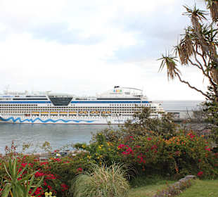 Madeira Funchal - AIDAbella