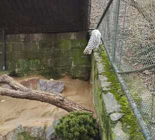 Zoo